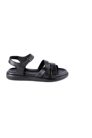 Dexter Ofl1073-220-1 Kadın Sandalet Çok Renkli