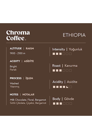 Chroma Coffee Ethiopia Signature Series 10'lu