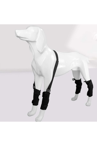 Homyl Arthritis L'den Stabilite Kaybı Için Köpek Destek L