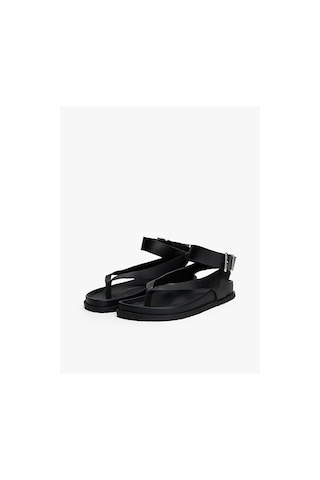 Kadın Tjw Ankle Strap Sandalet Siyah