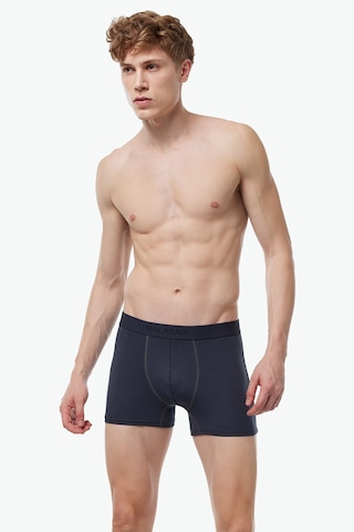 Malabadi Erkek Füme Extra Yumuşak Micro Modal Boxer 914