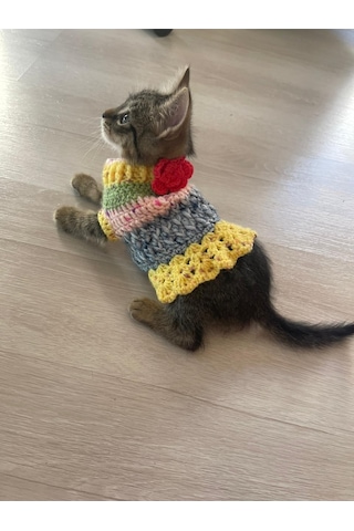 Pati Kedi Köpek Örme Fırfırlı Elbise Renkli Giyim Pet