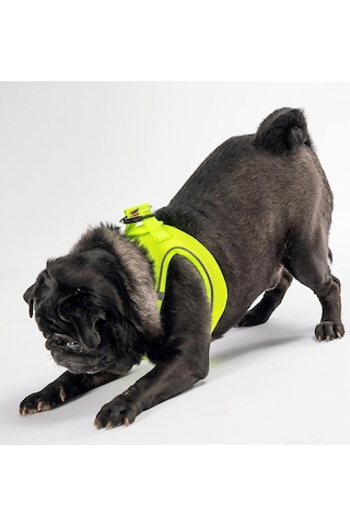 Pawstar Sarı -mesh Göğüs Tasması Göğüs Tasması Sarı Xl Sku: Smg8690010328199
