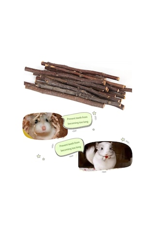 Kemirgenler Için Elma Ağacı Dalı