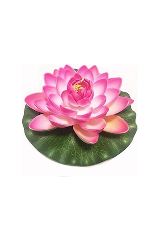 Süper Paket 20 Adet Tohum Lotus Tohumu Nilüfer Çiçeği Tohumu