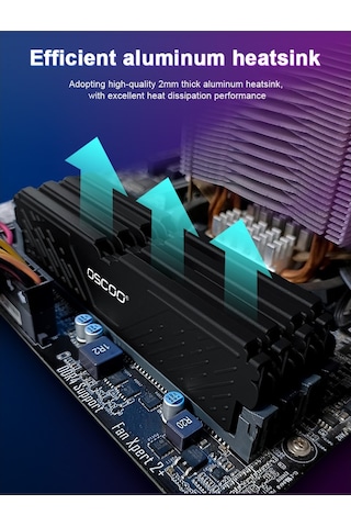 Oscoo Black Warrior E500 32GB 5600MHZ CL46 Ddr5 1.1V Ram