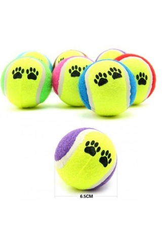 At Getir Köpek Eğitim Topu 5639