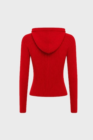 Tommy Jeans Logolu Slim Fit Kapüşonlu Ribana Örgülü Crop Sweat Kadın Kazak Dw0dw20974 Xk9 Kırmızı
