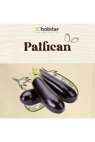 Hobitar Hesaplı Sebze Manavı Tohum Paketi - 5 Çeşit Sebze Tohumu