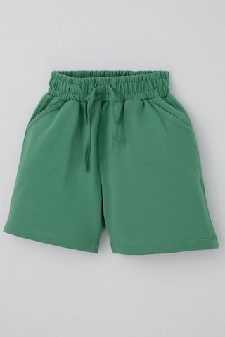 Breeze Erkek Çocuk Şort Bağcık Aksesuarlı Cepli 3-7 Yaş, Mint Yeşili