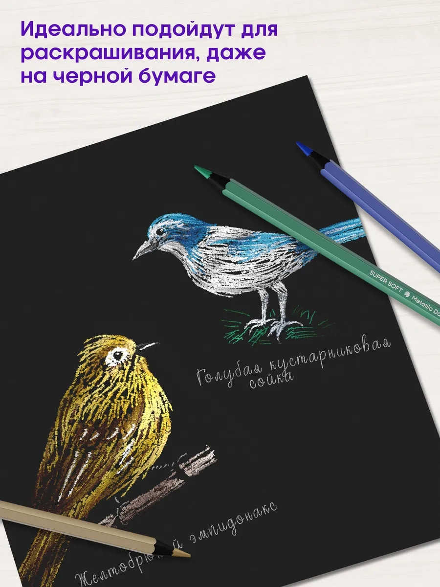 Berlingo Okul İçin 12 Renkli Çizim Kalemleri 17310018 Mavi