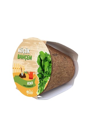 Küçük Bahçem Roka Tohumu Yetiştirme Seti