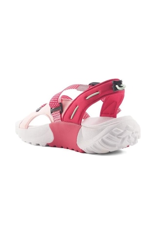 Lumberjack Free Wmn 4fx Pudra Kadın Spor Sandalet 001
