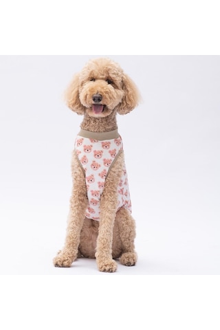 Cute Bears Büyük Köpek Tişörtü - Köpek Kıyafeti 15 Kg-45 Kg