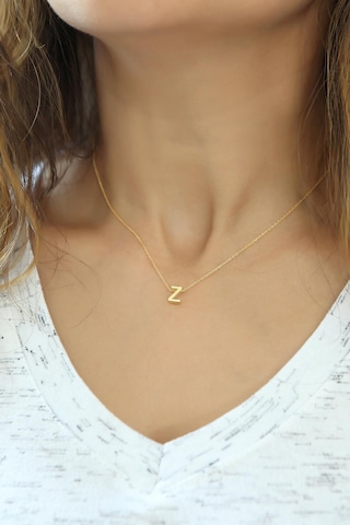 Azuris Silver Azuris 925 Ayar Gümüş Üç Boyutlu Z Harfli Harfi Kolye No Color