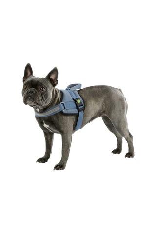 Belden Köpek Tasması Maestro 2.0 S 45-60 cm x 15 mm Mavi