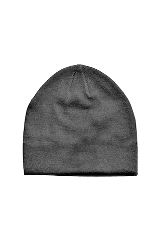 Alaska The Last Frontier Çift Taraflı Doubleface Kumaş Unisex Bere Açık Gri
