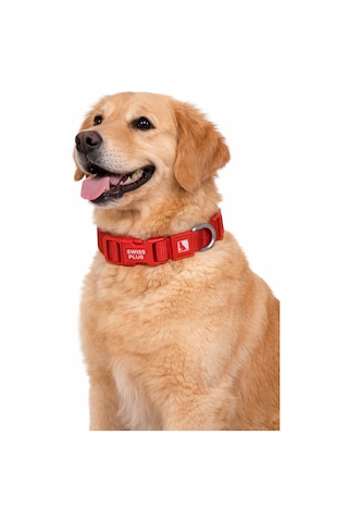 Swissplus Urban Paws Köpek Tasması Crimson Red Ayarlanabilir, Dayanıklı, Hafif-25mm Kırmızı