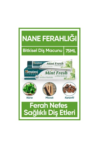 Himalaya Mint Fresh Diş Macunu 75 ML
