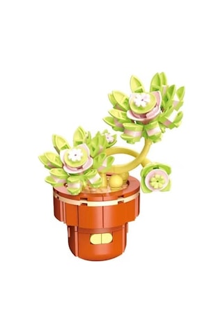 Blossom Graptopetalum Çiçek