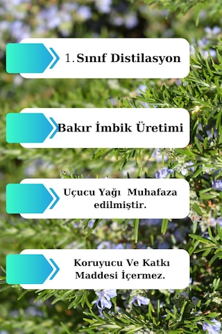 Biberiye Suyu Ve Karanfil Suyu Seti - Doğal Biberiye Saç Toniği Seti 2x100ml