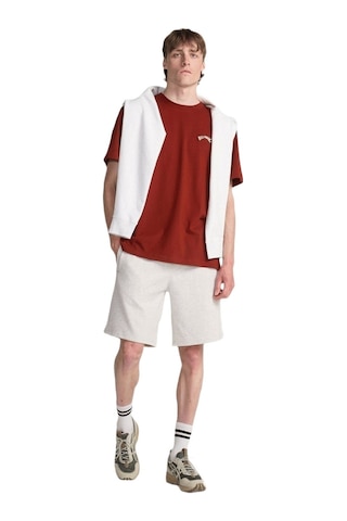 Billabong Bıllabong Arch Short Lt Lgh Çok Renkli