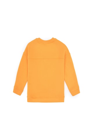 U.S. Polo Assn. Kız Çocuk Turuncu Bisiklet Yaka Sweatshirt 50317991-VR244