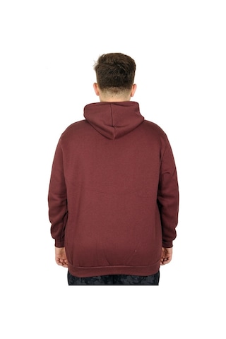 Mode Xl Erkek Sweatshirt Kapşonlu Zippered Basic 20543 Mürdüm 001