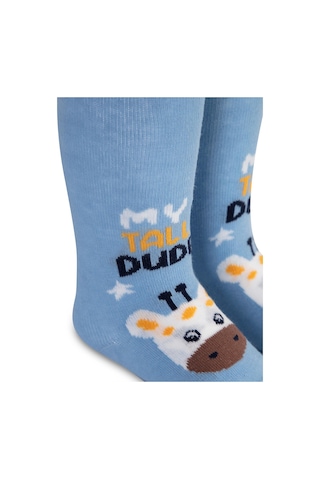 Civil Baby Dude 6- Bebek Erkek Külotlu Çorap - Mavi