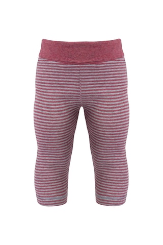 Organicera Organik Tayt, Çizgili , Bordo-grey