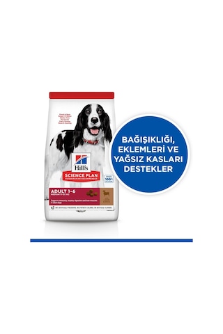 Hill's Hills Orta Irk Kuzu Etli Yetişkin Köpek Maması 12+2 Kg