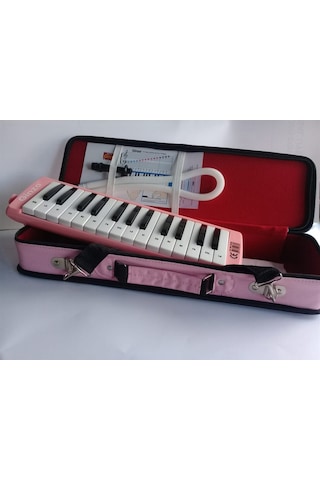 Ginza Gn-209 27K Melodika Pembe