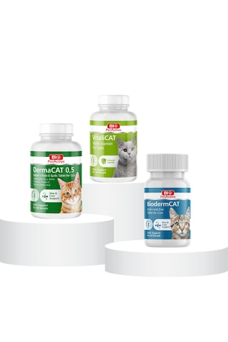 Purecanpati Kedi Multivitamin Biotin Dermacat Seti