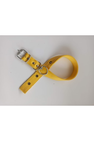 Kozaklı Orta Irk Köpek Tasması Sarı 60 x 3 CM