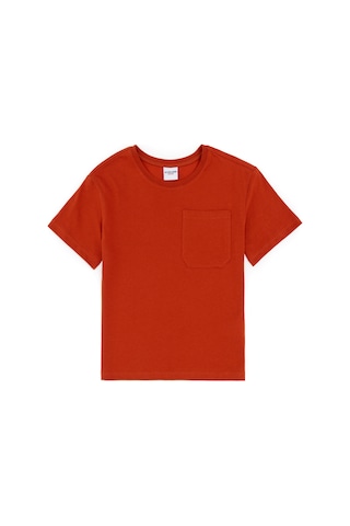 U.S. Polo Assn. Erkek Çocuk Kiremit Bisiklet Yaka Tişört 50295428-VR031