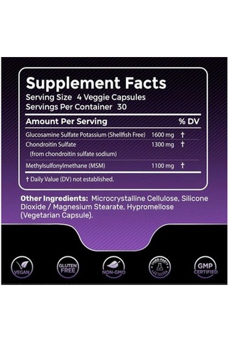 Wellnees Labs Glucosamine + Chondroitin + Msm 4000 120 Kapsül