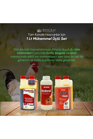 Royal Kanatlı Hayvanlar İçin 1 Lt Mükemmel Üçlü Set Acidoral+spiro Clean+pantonic Royal Kanatlı Hayvanlar İçin 1 Lt Mükemmel Üçlü Set Acidoral+spiro Clean+pantonic