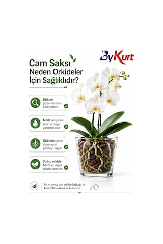 Cam Orkide Saksısı 13 Cm Şeffaf Cam Saksı 12 Pota Uyumlu Dekoratif Orkide Saksısı 2 Adet