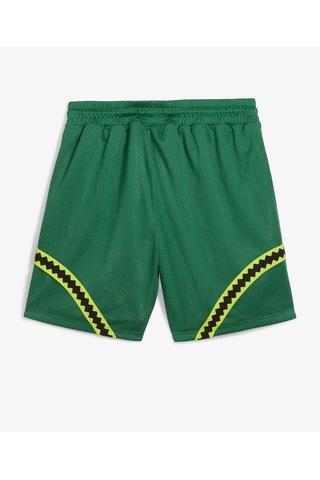 Puma Tmnt Erkek Şort 630931-01 Yeşil
