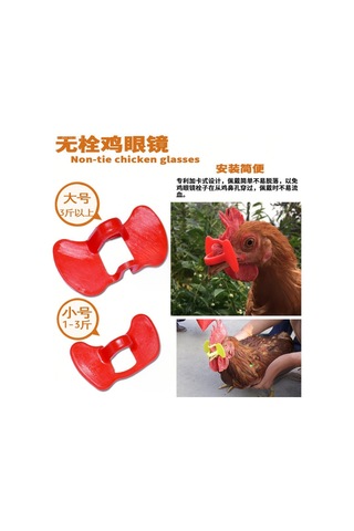 Moveevo Halka Tavuk, Ördek, Kaz Kullanıma Uygun Kırık Gözlük Seti - 41 Parça Aletli, Kanat Ve Vücut Kırması Engelleme, Hafif Ve Dayanıklı Kırmızı