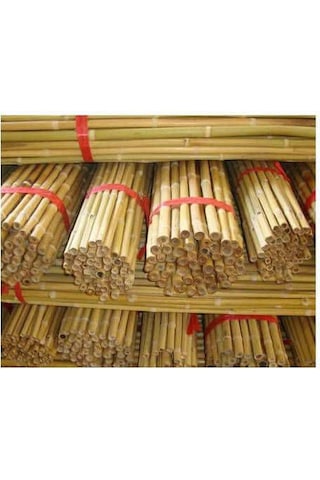 Bambu Bitki Destek Çubuğu 75 Cm 20 Adet