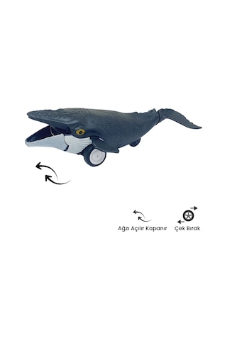 Sürtmeli Hayvanlar 2'li - Orka Balina Ve Dev Balina Hayvan