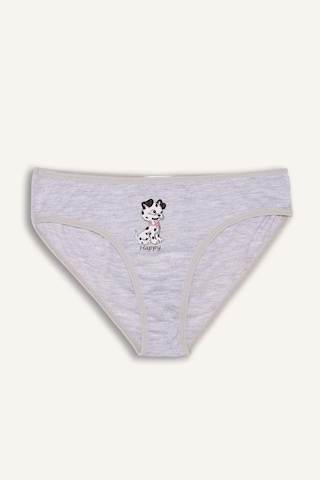 Defacto Desenli Penye 3lü Slip Külot Kız Çocuk H5945a826smgr101 Gri-gr101