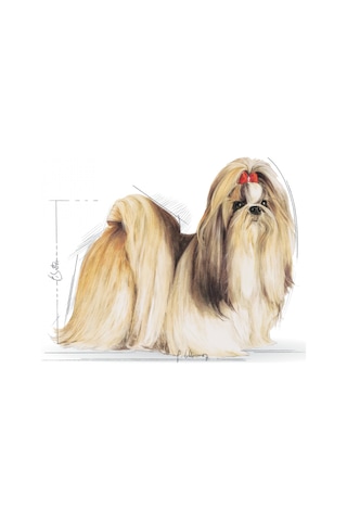 Royal Canin Shih Tzu Yetişkin Köpek Maması 1.5 KG