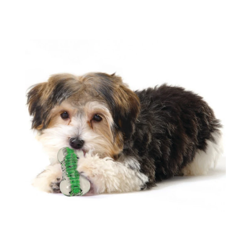Petstages Crunchcore Bone Dog Chew Toy Köpek Oyuncağı Xsmall