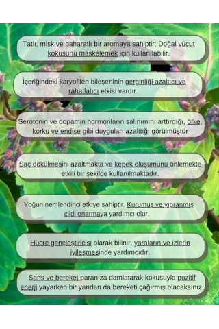 Lavendrose Paçuli Yağı %100 Saf Bitkisel Aromaterapi 10ml