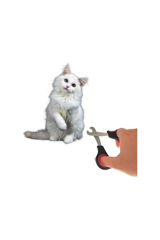 Büro Ev Evcil Hayvanı İçin Mini Çelik Uç Kedi Köpek Pati Tırnak Bakım Makası