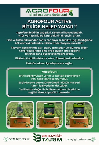 Agrofour Active Sıvı Bitki Gübresi 5 Lt