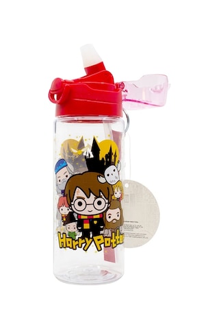 Harry Potter 500ml Matara 2275