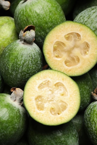 Siz De Kaymak Ağacı Fidanı Yetiştirmeye Ne Dersiniz - Hemen Fida